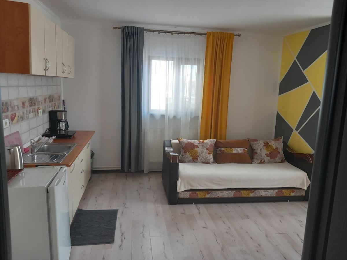 Târgu Jiu Vila Davison מראה חיצוני תמונה