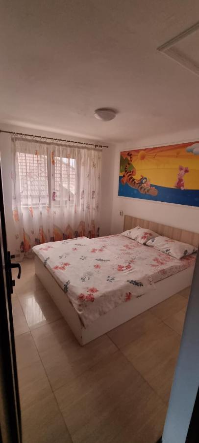 Târgu Jiu Vila Davison מראה חיצוני תמונה
